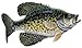Eagle Claw 575 Gold Jig Hooks - 200 Pack