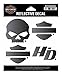 Harley-Davidson Night Rider Reflective Logo Decal Set, SM Size DC306302