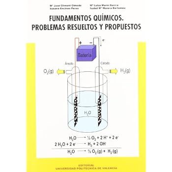 Fundamentos químicos : problemas resueltos y propuestos