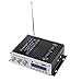 WINGONEER Mini Bluetooth Hi-Fi Stereo Audio AMP Amplifier Bass Booster MP4 12V Support FM/MP3/TF/USB/DVD for Car Motorcycle Car Auto CD DVD