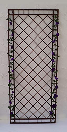 Gabella Metall Eisen Spalier Rankgitter Rankhilfe Wandgitter Meran 100/240 Rost XXL