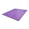 Andersen 1963267 Classic Impressions Plus Solid Nylon Vezel-interieur, vloermat, nitril rubberrug, 1224 g/vierkante m…
