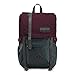 Jansport Urban Hatchet Backpack (Dried Fig/Grey Horizon)