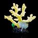 Uniclife Glowing Effect Artificial Coral Plant for Fish Tank, Decorative Aquarium Ornament (Yellow)
