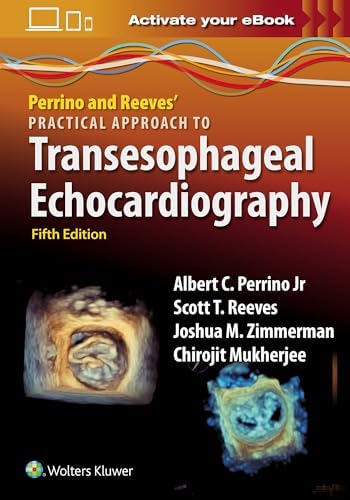Perioperative Two-Dimensional Transesophageal Echocardiography: A