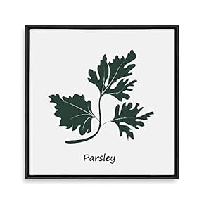 Framed Canvas Wall Art for Living Room, Bedroom Nordic Style Plants Theme Canvas Prints for Home Decoration Ready to Hang - 16x16 inches