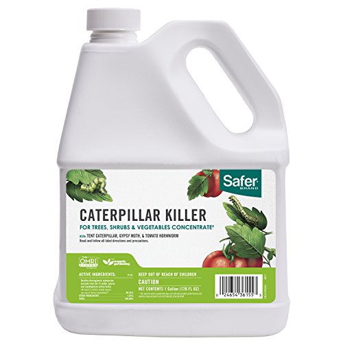 Safer 5163GAL Caterpillar Killer Concentrate, 1 Gallon (1 Pack) in