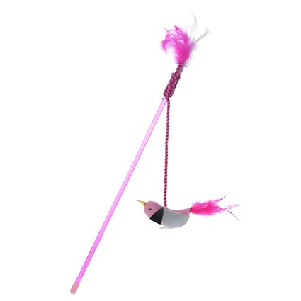 Buy Zibuyu Pet Teaser Feather Stick Cats Catch Interactive Train