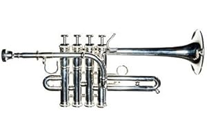 QUEENBRASS Queen Brass Piccolo Bb Trumpet Premium Kit for Beginners & Students, Brass Musical Instrument with Sturdy Case, 7C Mouthpiece, Complete Cleaning Set Open Box Special