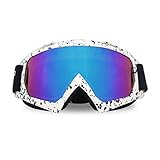 ThyWay Dustproof Outdoor Goggles for Motocross / Bike Riding Wind Skiing Winter Sports (White 2)