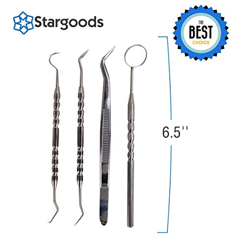 Dental Hygienist Tools Oral Care Hygiene Kit to Remove Plaque, Set of 4