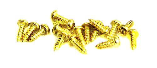 100pc. #2 x 1/4" gold phillips round-head wood screws