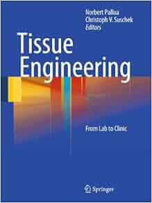 Tissue Engineering From Lab To Clinic 9783642028236