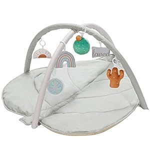 Baby Play Gym, Cactus Infant Activity Gym Stage-Based Developmental Baby Gym and Playmats for Newborn with 6 Featured…