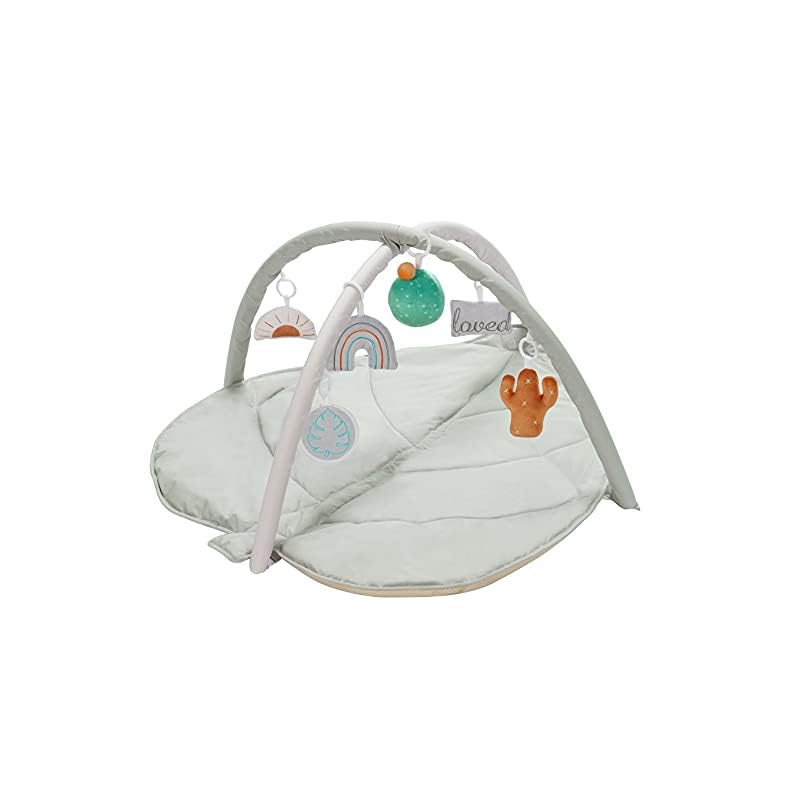 Baby Play Gym, Cactus Infant Activity Gym Stage-Based Developmental Baby Gym and Playmats for Newborn with 6 Featured…