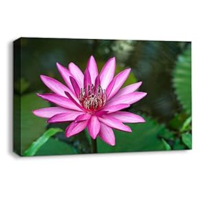 signwin - Canvas Wall Art - Beautiful Flower...