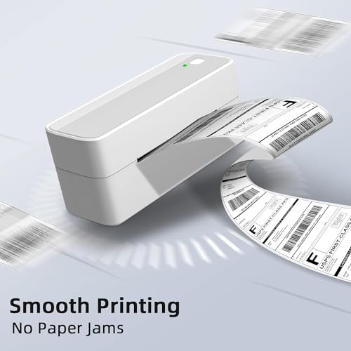 Phomemo 1000 Labels 4x6 Compatible with MUNBYN, Phomemo, Polono, BPA Free Thermal Labels for DHL, UPS, DPD-100x150mm