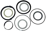 CASE 1543273C1 Hydraulic Cylinder Seal KIT