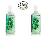 Bath and Body Works Eucalyptus Deep Cleaning Hand Soap 2 Pack
