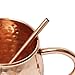 Alchemade Premium Quality Copper Drinking Straws - No mug required - Set of 5 - Perfect for Moscow Mules & All Other Beverages - Great Gift For Anyone