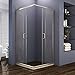 ELEGANT 36'' D. x 36'' W. x 72'' H. Double Opening Sliding Shower Enclosure, 2 Stationary Panels 1/4'' Clear Glass Shower Door, Brushed Nickel