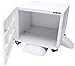 Xerox Printer Stand (497K13660)