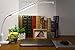 TORCHSTAR Dimmable LED Desk Lamp, 26 LEDs Flexible Study Clamp Table Lamp, Memory Function, Eye-Care, Touch Control, 5W, USB Powered, ETL-Listed Power Adapter, for Bedroom Office Reading Work, White