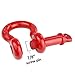 LIBERRWAY Shackles 3/4