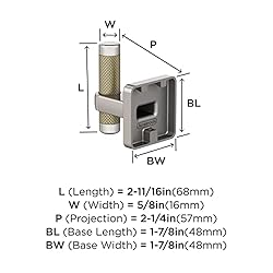 Amerock BH36563PNBBZ | Polished Nickel/Golden