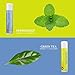 Natural Lip Balm For Women And Men Flavored Lip Repair Treatment For Dry Lips Therapeutic Lip Remedy for Cracked Chapped Lips Four Flavor Multipack With Aloe Vera Shea Butter And Antioxidant Vitamin E