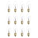 12 Pack 25 Watt Bulbs for Scentsy Plug-In Nightlight Wax Warmers, Home Fragrance Wax Diffusers & Salt Lamps, 120 Volt Bulk Bulb Replacements