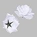 Topixdeals Rose Heads Artificial Flowers,Silk Cream Rose Heads,for Anniversary,Wedding Flowers,Accessories Make Bridal Hair,Clips Headbands Dress(50 pcs,Pure White)