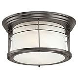 Westinghouse 6674600 Senecaville Two-Light Exterior Flush-Mount Fixture, Weathered Bronze Finish on Steel with White Alabaster Glass (Tools &amp; Home Improvement)