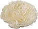 Ginger Ray Tissue Ivory Paper Party Poms Decoration, 5 Pack