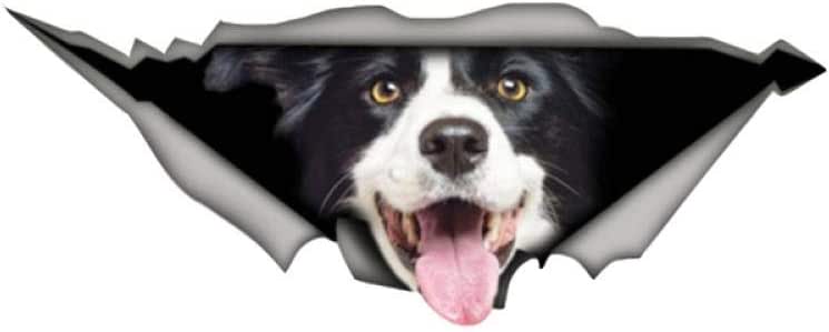 RXHTT Coche Calcomanía Vinilo Carro Automóvil Etiqueta Engomada Del