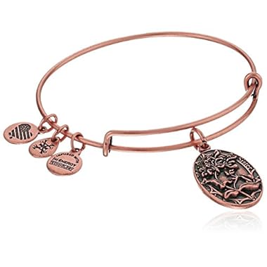 Alex and Ani Because I love you, Sister II Expandable Bangle Bracelet
