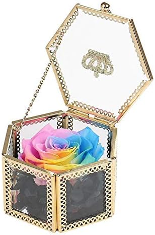 MFFD Preserved Flower Rose, Never Withered Roses, Upscale Immortal Flowers, Gifts for Women, Her, Girls, Sister, Mother's Day, Valentine's Day, Anniversary, Birthday, Wedding