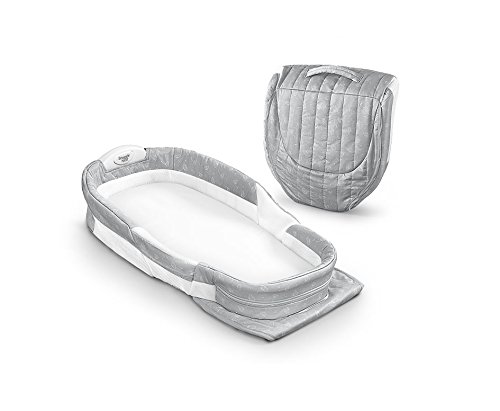 Baby Delight Snuggle Nest Surround DL Misty Dandelions, Gray, 4.5 Pound