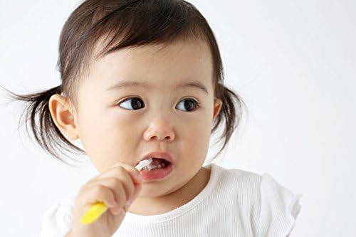 brushing 12 month old teeth