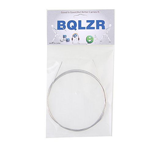BQLZR 1M 3.28Ft Length 0.975mm Dia Piano Music Wire for Replacement of Broken Strings