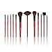 SHANY Professional 12 - Piece Natural Goat and Badger Cosmetic Brush Set with Pouch - Red
