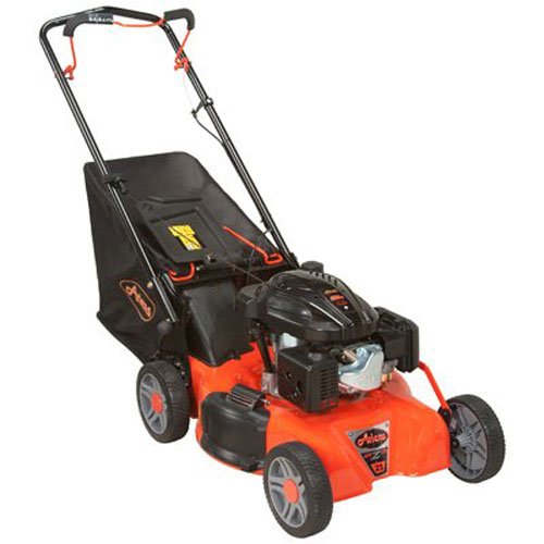Ariens Company 911173 Push Mower