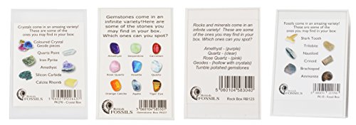 Rock, Crystal, Gem & Fossil Box Set. Set of 4 Boxed Collections