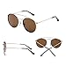 JIM HALO Small Polarized Round Sunglasses for Men, Women Vintage Double Bridge Frame (Gold Frame/Polarized Brown Lens)