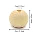 Hagao Natural Wood Beads Round Ball Wooden Loose Beads Unfinished Wood Spacer Beads for Craft-Making 300pcs (10mm)