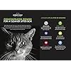 Worlds-Best-Cat-Litter-28lb-127kg-Multiple-Cat-Unscented Worlds Best Cat Litter 28lb ,Multiple Cat Unscented, 12.7 kg (Pack of 1)