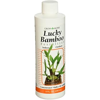 Amazon.com : Green Green Plant Food Lucky Bamboo Fertilizer- Two 36ml Bottles : Home And Garden  Amazon.com : Green Green Plant Food Lucky Bamboo Fertilizer- Two 36ml Bottles : Home And Garden