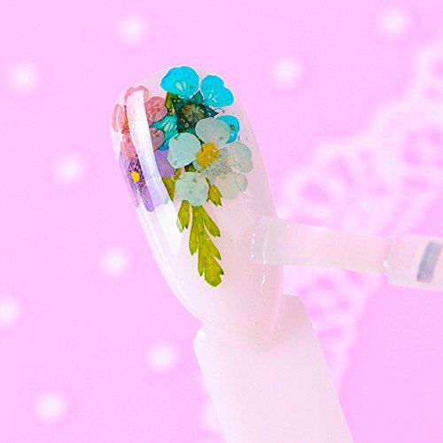 2Box 3D Nail Art Dried Flower Mixed Preserved Daisy Babysbreath Natural Sticker DIY Manicure Nail Art Decorations - Thumbnail 6