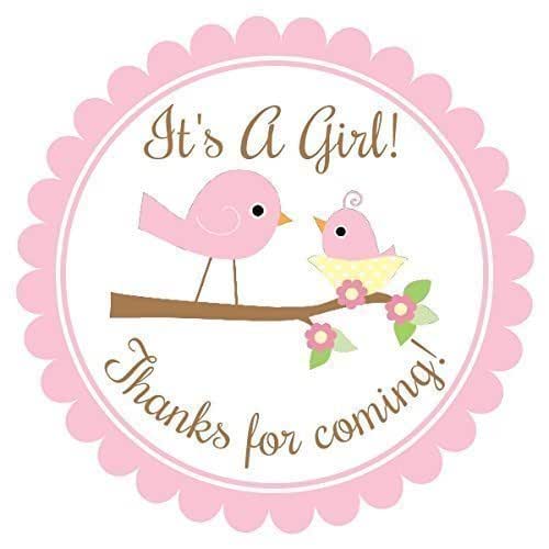 Bird Themed Baby Shower Bird Baby Shower Bird Baby Shower Theme