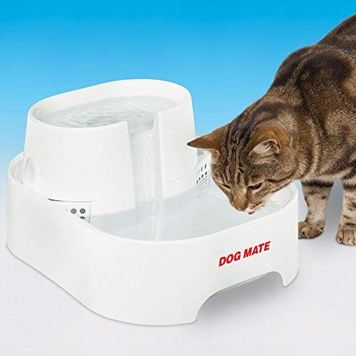 Dog Mate Large Fresh Water Drinking Fountain For Dogs And Cats Pricepulse